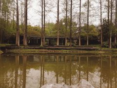 -杭州植物园