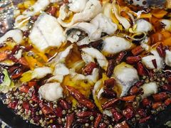 -金三可市井水煮鱼(金碧园店)