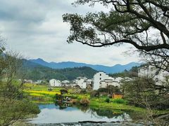 -婺源风景区