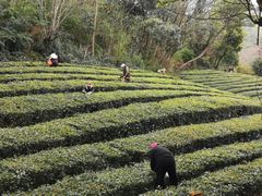 景点-敬亭山风景名胜区
