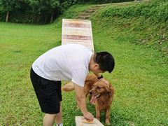 -良成狗狗乐园
