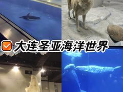 -大连圣亚海洋世界