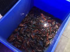 -海鲜烧烤