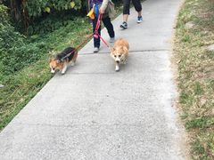 -南丫岛