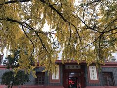 -四川大学(望江校区)