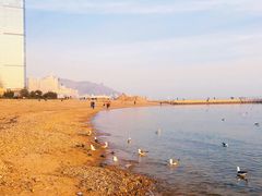 -星海广场