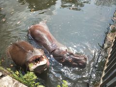 -海南热带野生动植物园