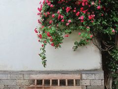 -老门东历史文化街区