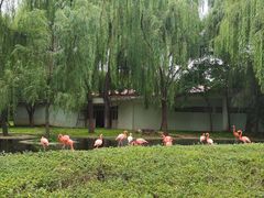 -石家庄市动物园