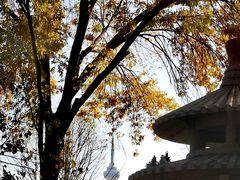-玲珑塔公园