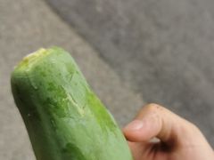 -光明小镇欢乐田园