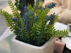 -LES ELITES 英集荟(南京西路店)