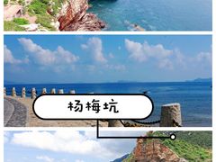 -杨梅坑