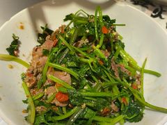 -壹盏灯(惠农店)