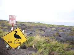 -夏威夷火山国家公园