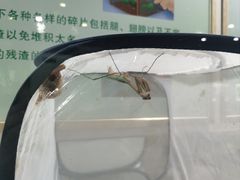 -上海昆虫博物馆