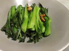 -千灯盛汇·头牌粤菜(致越优城店)