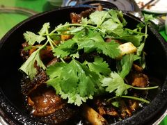 -大碗厨(东风路店)