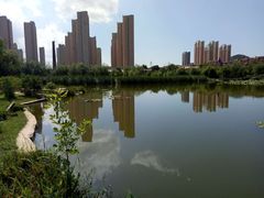 -前关湿地公园