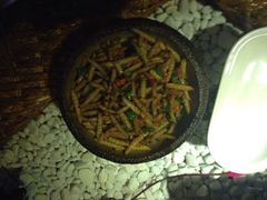竹节虫-慢丽江·云南野生菌土鸡锅(付家庄店)