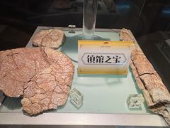 -河南自然博物馆