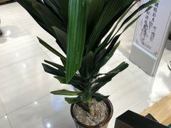 -南岸新华书店