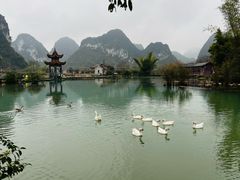 -靖西鹅泉风景区