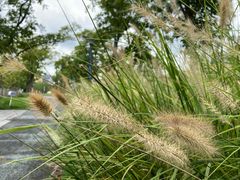 -杭州城北体育公园