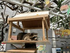 -正佳雨林生态植物园