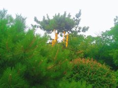 -云龙山