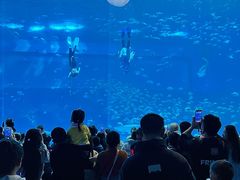 -南昌融创海世界