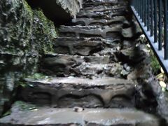 -梦幻奥陶纪景区