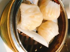 -糖朝(尖沙咀店)