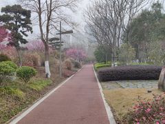 -武汉园博园(武汉自然博物馆)