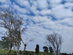 -深圳人才公园