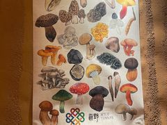 -滇野云南野生菌餐厅(陕西南路店)