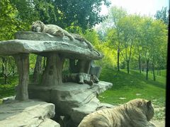 -石家庄市动物园