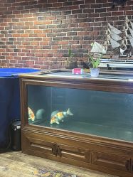 -青木造型HAIR·あおき髪を刈る潮人店