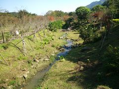 -田野绿世界