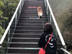 -巨石山景区
