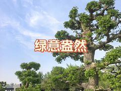 -石家庄市植物园