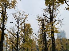 -百林公园-两江幸福广场