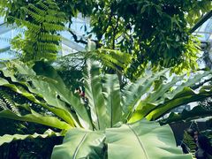 -国家植物园南园