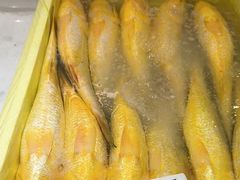 -赶海部落海鲜城(海阳路店)