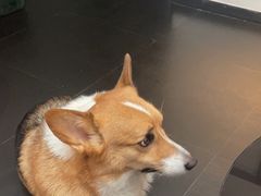 -简象咖啡CAFE ELE JANE(满陇桂雨店)
