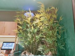 -蛙小侠(五象万象汇店)