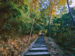 -火炉山森林公园