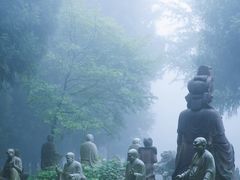 -武陵山森林公园