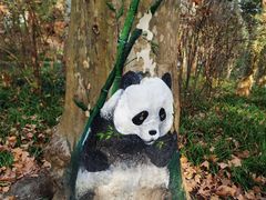 -共青国家森林公园-售票处
