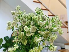 -森野花艺培训·企业团建活动沙龙